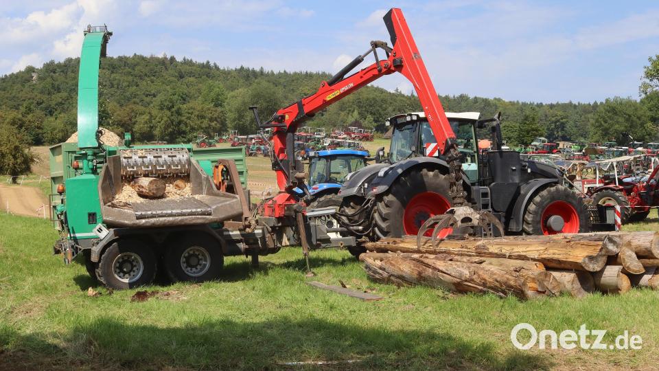 Erstaunlich, wie schnell ein Baum zu Hackschnitzeln wird. Bild: mfh