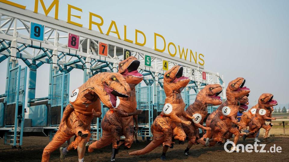 Teilnehmer verlassen die Startbox für das Meisterschaftsrennen bei den T-Rex World Championship Races in Emerald Downs. Bild: Lindsey Wasson/AP