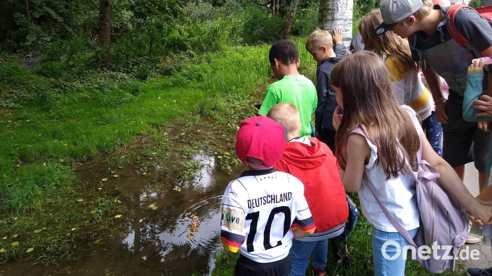 Auf Flusskrebssuche mitten in der Stadt. Bild: Adolfine Nitschke/exb