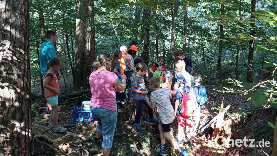 Im Kinderferienclub entdecken die Buben und Mädchen den Stadtwald Bild: krb