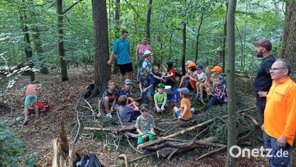 Im Kinderferienclub entdecken die Buben und Mädchen den Stadtwald Bild: krb