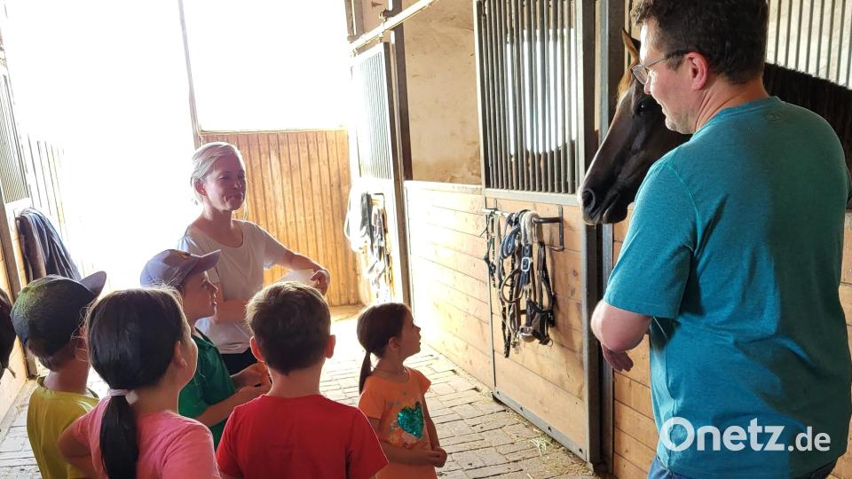 Marco Treml erzählt den Kindern, was die Pferde in der Pension machen. Bild: Sauer/exb