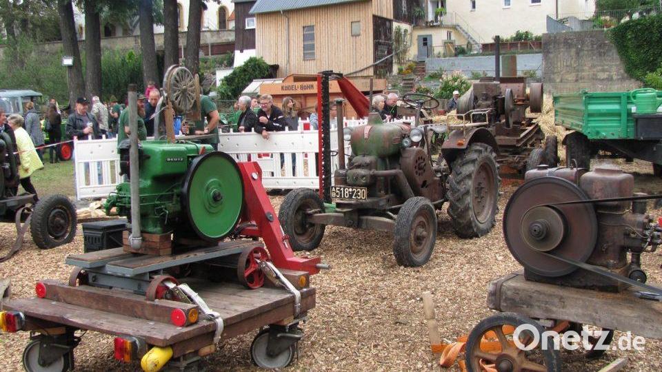 „Alt´s Glump“ zeigt beim Traktortreffen, was es noch so kann. Die Oldtimer-Maschinen zeigen, was sie noch draufhaben Archivbild: sei
