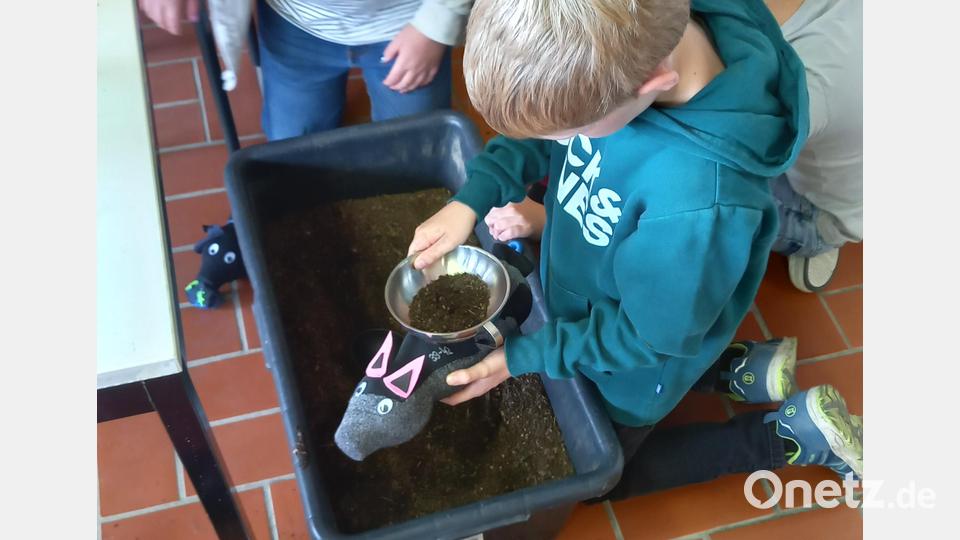 Arbeiten mit verschiedenen Materialien beim Verschönerungsvereins Bernstein. Bild: gra