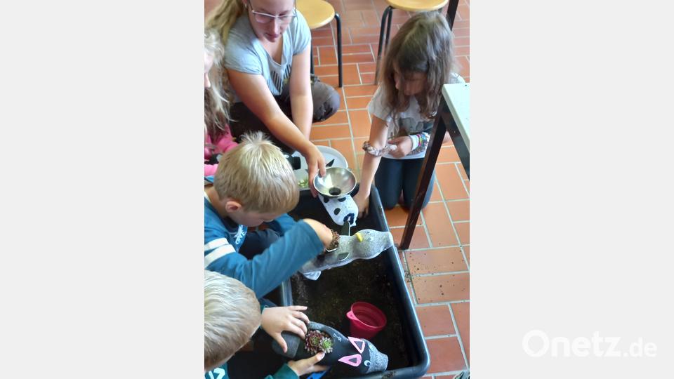 Hilfestellung gibt es auch untereinander Bild: gra