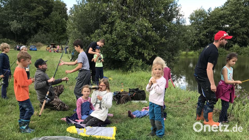 Hoch her geht es am Kicknweiher. Bild: mma
