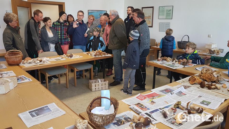 Pilzsachverständiger Stefan Hartwig erklärt den Schwammerlfreunden genau, wie essbare von giftigen Pilzen zu unterscheiden sind. Bild: gi