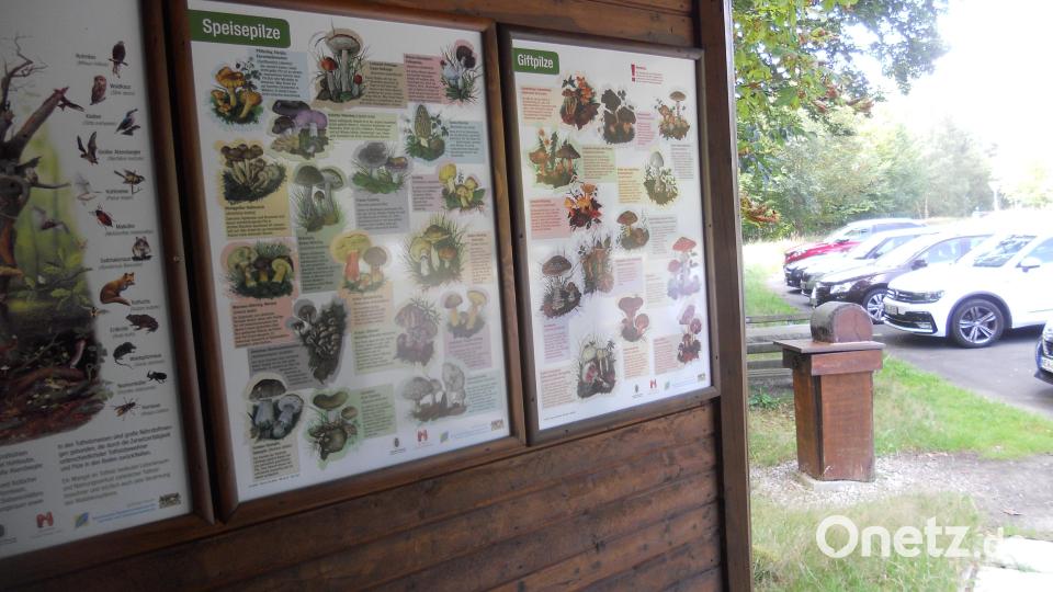 Die Schautafeln im Pavillon sind ersetzt worden. Bild: jba