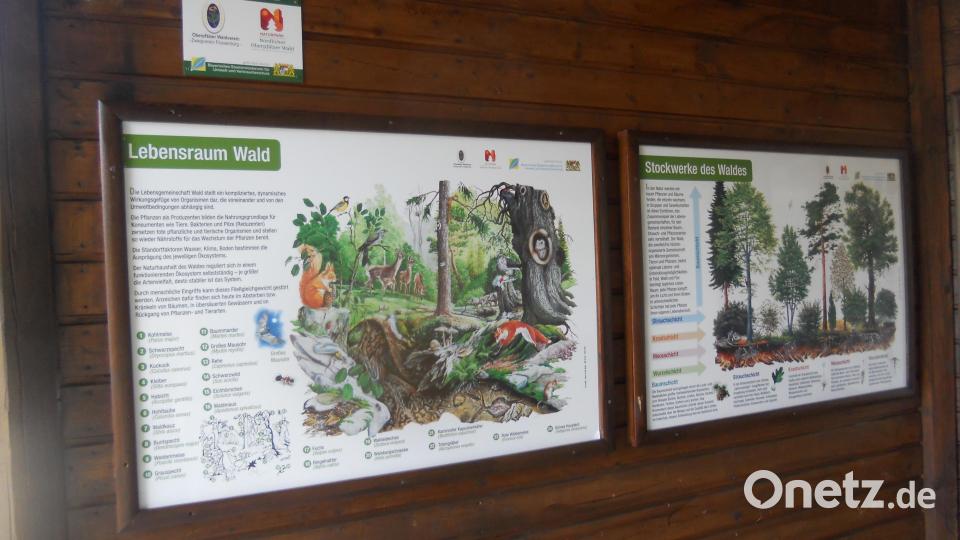 Die Schautafeln im Pavillon sind ersetzt worden. Bild: jba