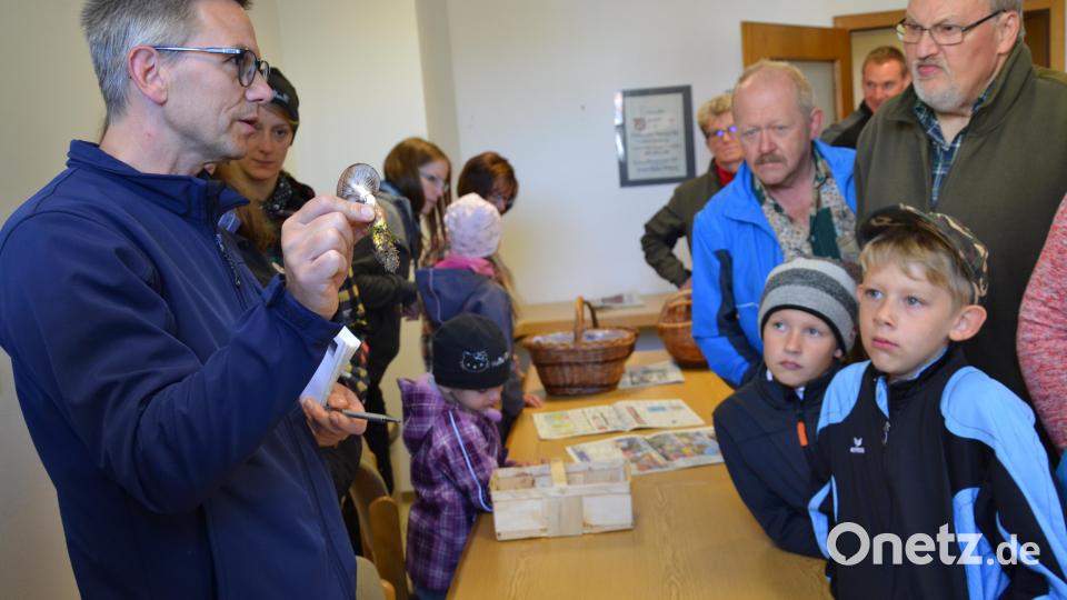 Pilzsachverständiger Stefan Hartwig (links) schaut alle gesammelten Pilze genau an und erklärt, welche essbar sind und welche nicht. Archivbild: gi