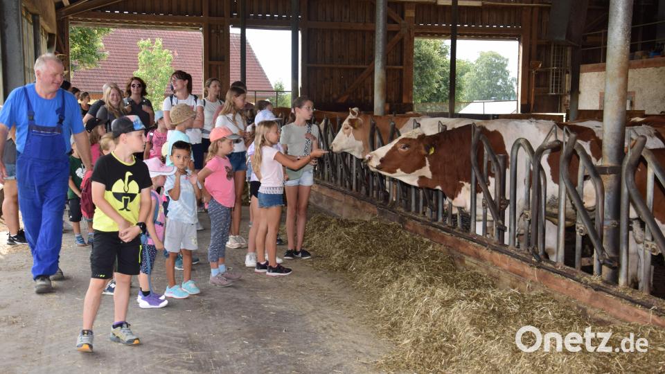 Landwirt Manfred Bäumler führt die Kinder durch die Stallungen. Bild: fla