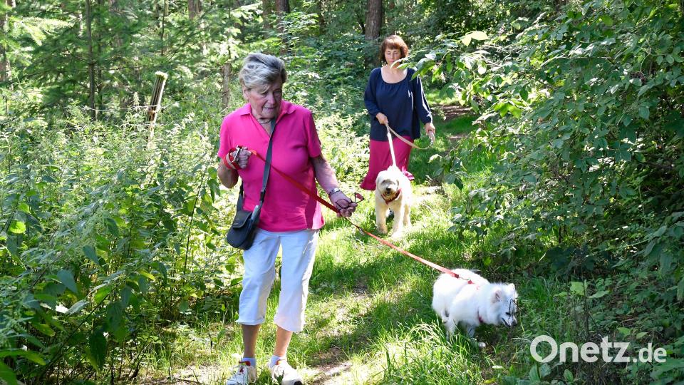 Annelies Gläßl (links) führt Hündin Sissi aus dem Amberger Tierheim regelmäßig spazieren. Ingrid Mallmann (rechts) hält Joschi an der Leine. Bild: Petra Hartl