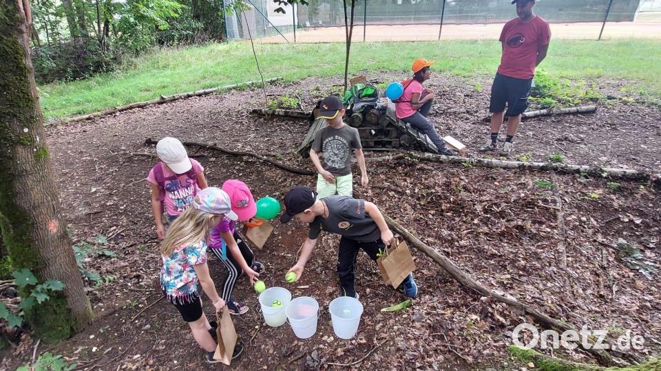 Viele Aufgaben mussten die kinder bei der Schnitzeljagd absolvieren Bild: exb/Bendikt Rott