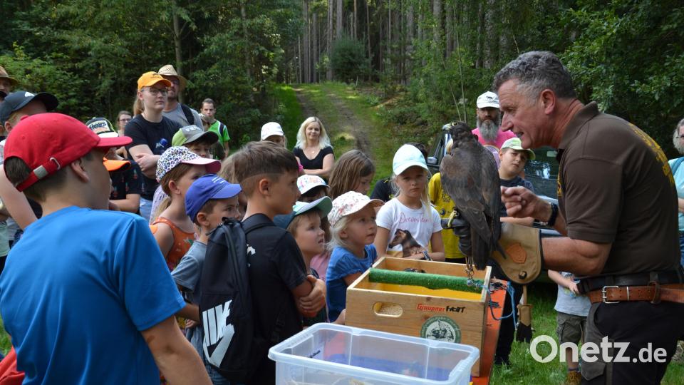 Neugierig lauschen die Mädchen und Buben dem Falkner Eckhard Mikisch. Er erzählt den Kindern alles über seine Vögel. Bild: gi