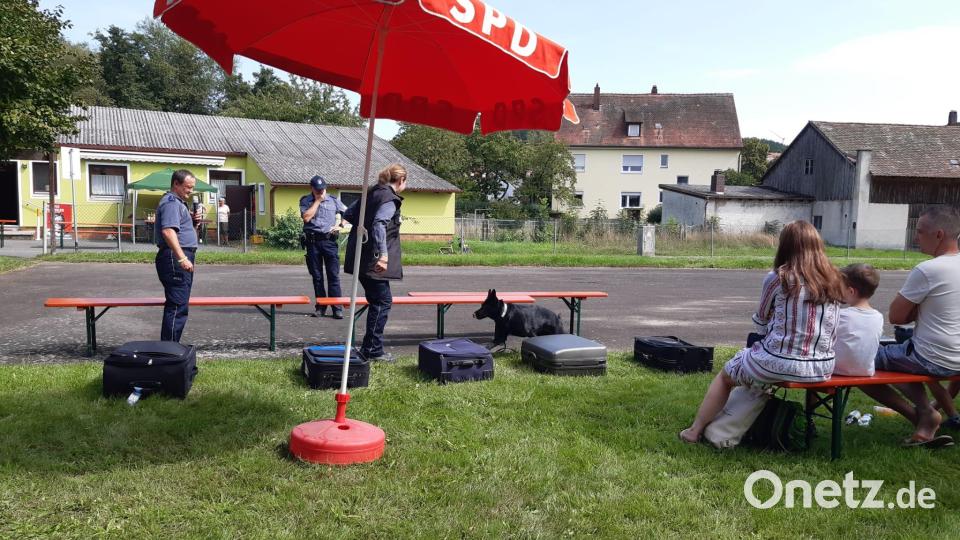 Die Kinder beobachten, wie die Hunde ihre Arbeit verrichten. Bild: Julia Bayer/exb