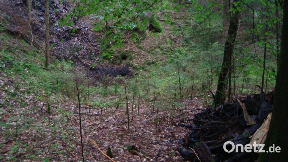 Im Waldstück „Im langen Schacht“ zwischen Hohenkemnath und Inselsberg hat jemand Müll in eine Doline geworfen. Bild: schß