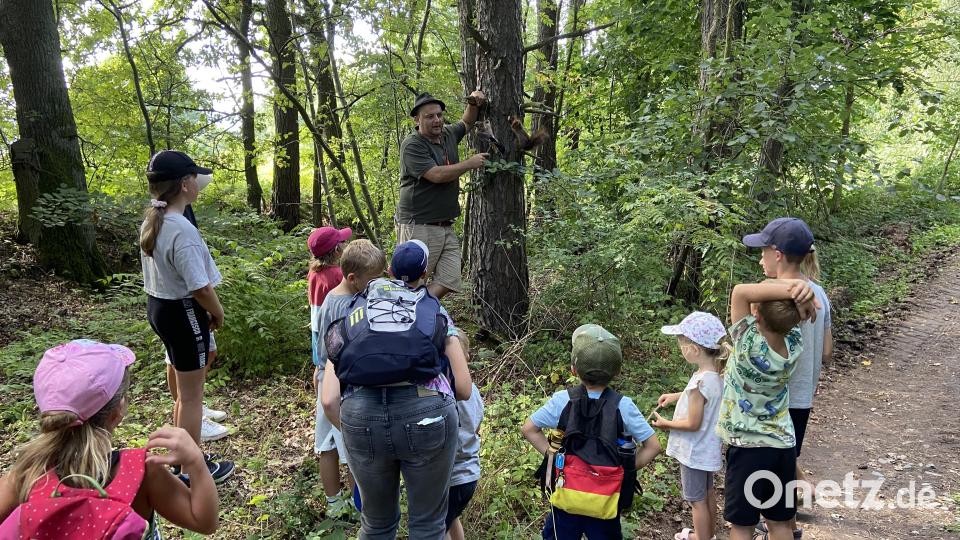 Jäger Jürgen Lehnert informierte die Kinder über verschiedene Tiere und deren Lebensraum im Wald. Bild: kki