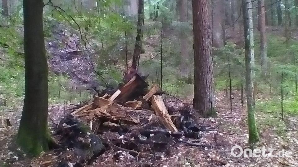 Im Waldstück „Im langen Schacht“ zwischen Hohenkemnath und Inselsberg hat jemand Müll in eine Doline geworfen. Bild: schß