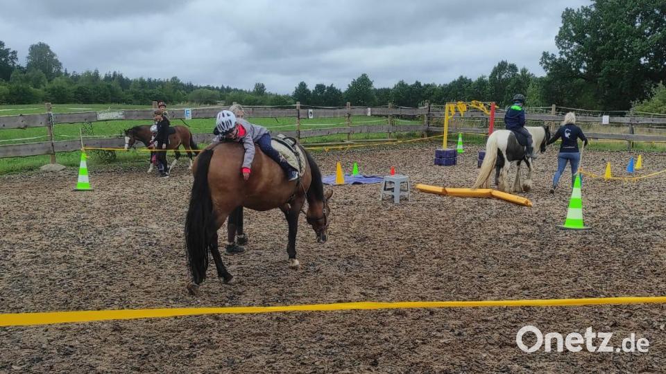 Viel zu erleben gab es bei zwei Ferienprogramm-Terminen auf der Maryland-Ranch in Hundsbach. Bild: Stephan Wölfl/exb