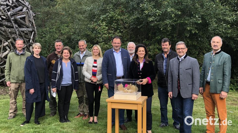 Walderlebniszentrum Mehlmeisel: Am Ort, wo das geplante WEZ entstehen wird mit Politikern, Vertretern von am Projekt Beteiligten: Stefanie Kreisel (Zweite von links) Bild: gis