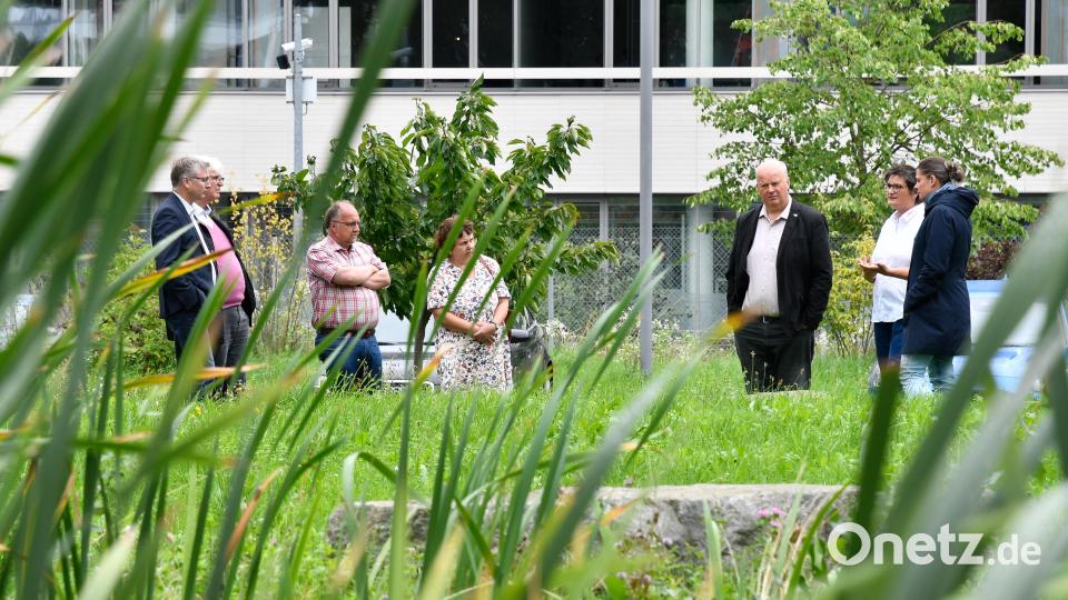 Die Firma Lüdecke GmbH aus Amberg ist für ihr Engagement in Sachen Umwelt- und Naturschutz sowie Nachhaltigkeit bekannt. Das sieht man dem Firmengelände auch an. Bild: Petra Hartl