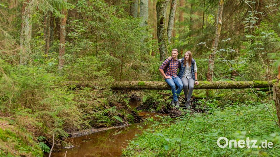 Über den &quot;Saugraben&quot; verläuft die Tour zunächst zu einem sagenumwobenen Platz, dem sogenannten Schützenmarter. Bild: Gemeinde Kastl bei Kemnath/exb