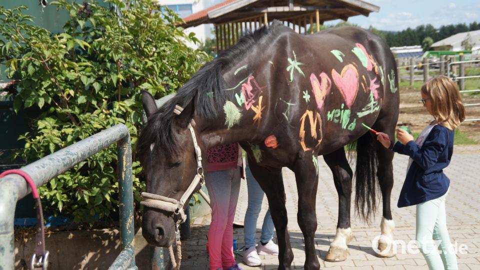 Geduldig ließ sich Pferd Heidi von den Kindern mit Fingerfarben bemalen. Für die Pferde sei das wie eine Massage. Bild: wel