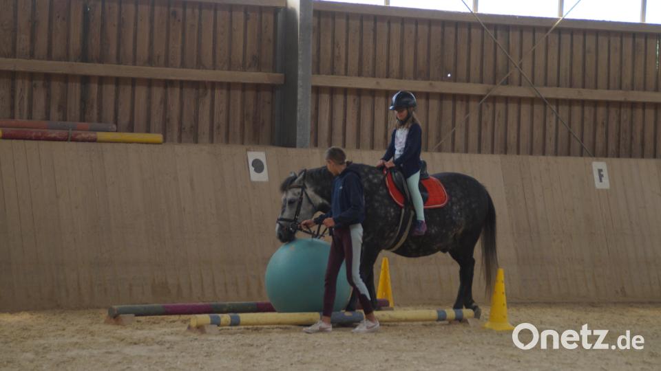 Reiter und Pferd mussten Aufgaben beim Parcours bewältigen, hier schießt das Pferd den Ball weg. Bild: wel
