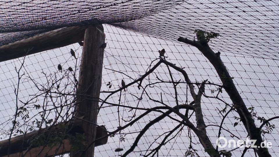 Walderlebniszentrum Mehlmeisel: das neue Waldvogelparadies. Bild: gis