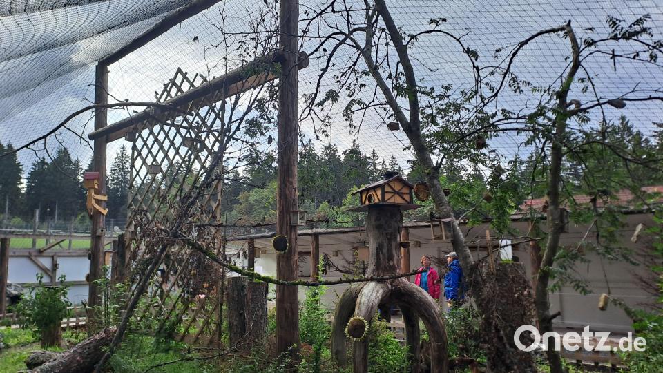 Walderlebniszentrum Mehlmeisel: das neue Waldvogelparadies. Bild: gis