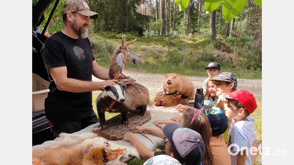 Ein Wolpertinger durfte bei den Tierpräparaten nicht fehlen, die Stefan Lautner den Kindern präsentierte. Bild: lgc