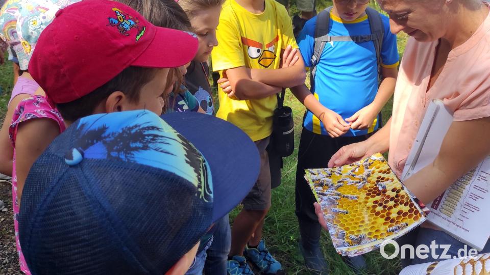 Wissenswertes erzählte auf der Erlebniswanderung Daniela Schmid über die Imkerei. Bild: lgc