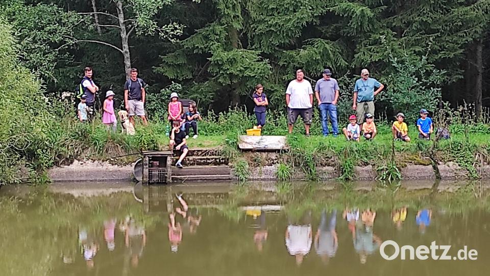 Kein Glück beim Angeln hatten die Kinder beim Teich von Jürgen Plohmann. Bild: lgc