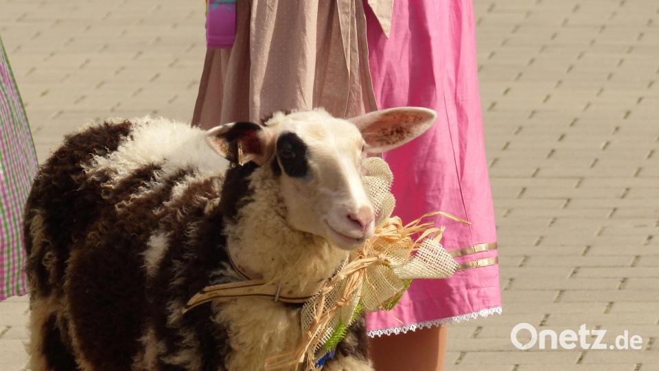 Einer der beiden Kirwa-Bätzn, die das Einholen der Kirwamoila begleiteten. Bild: mfh