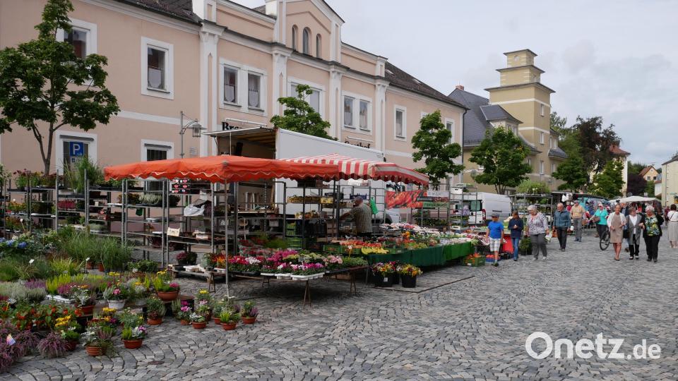 Ein vielfältiges Angebot hielten die Fieranten beim Waldsassener Herbst- und Erntemarkt am Sonntag bereit. Hielt sich die Zahl der Besucher am Vormittag noch in Grenzen, so nahm das Interesse im Laufe des Nachmittags stetig zu. Bild: hmr