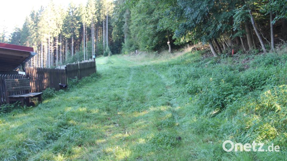 Als &quot;Originalroute&quot; bezeichnet Albert Kick das Teilstück der &quot;Alten Heerstraße&quot; im Ortsteil Hammermühle. Bild: pi
