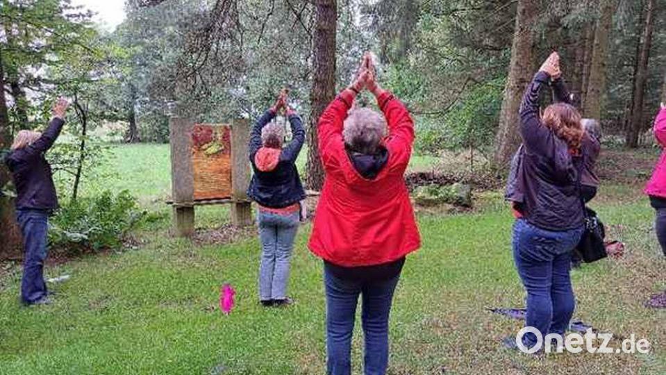 Eine Wanderung mit Yoga-Übungen im Wald bot die Ikom Stiftland im Rahmen der Stiftlandtage in Konnersreuth an. Bild: Zweckverband Ikom Stiftland/exb