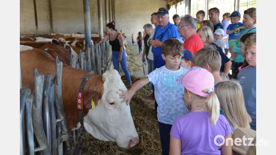 Die Kinder zeigen keinerlei Berührungsängste. Bild: dob
