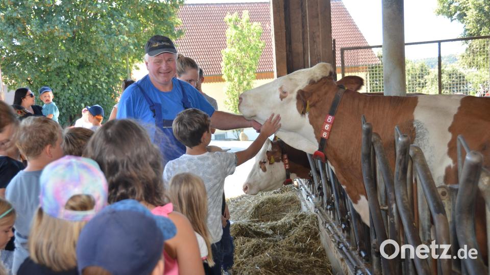 Landwirt Manfred Bäumler führt die jungen Besucher durch den Stall und erklärt alles über Tierhaltung, Fütterung und Melken sowie die Lebensweise der Tiere, die sich gerne streicheln lassen. Bild: dob