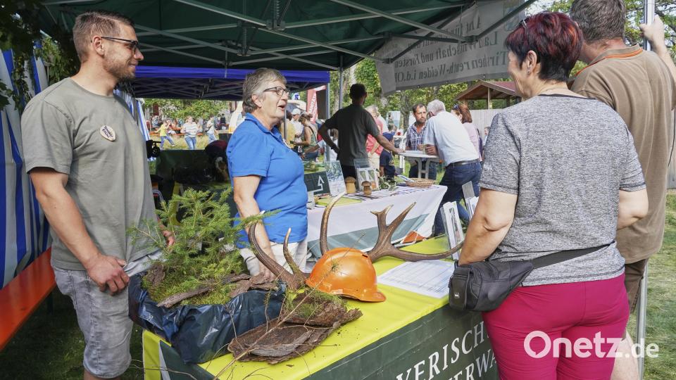 Viel zu sehen und zu erleben gab es beim Waldhausfest. Bild: Martin Schmid
