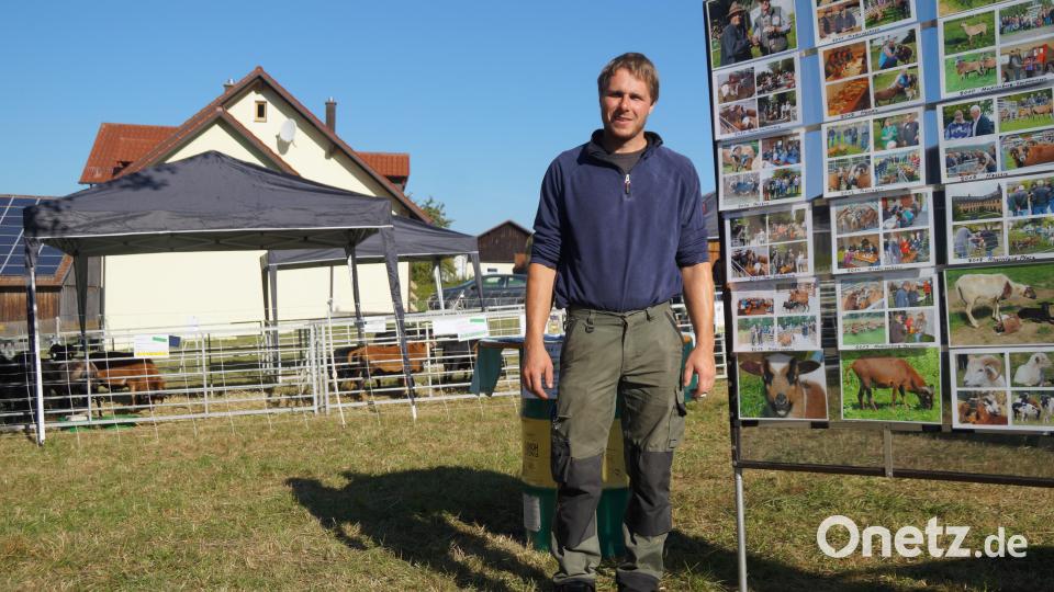 Dennis Gruber züchtet in seinem Betrieb Kamerunschafe und organisierte zusammen mit seinem Team die Bundesschau. Bild: wel