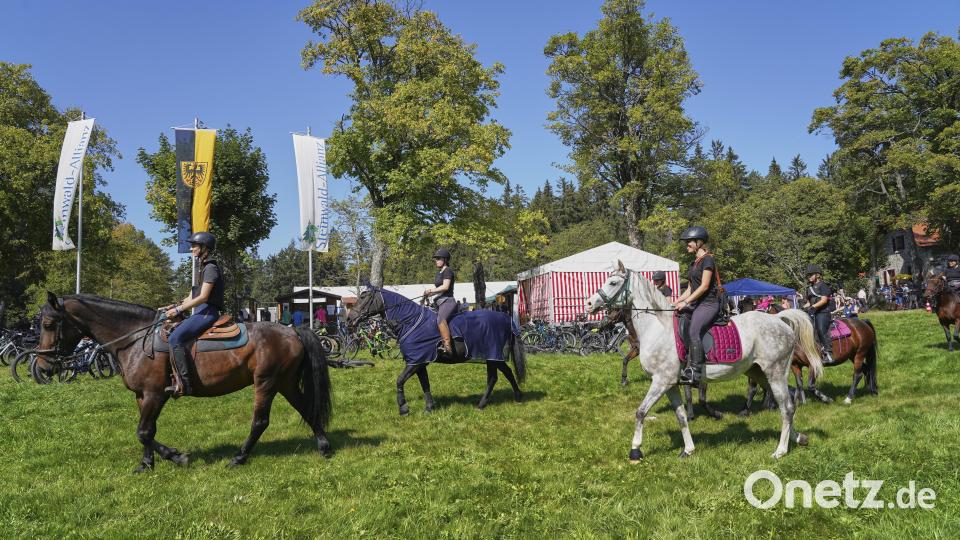 Viel zu sehen und zu erleben gab es beim Waldhausfest. Bild: Martin Schmid