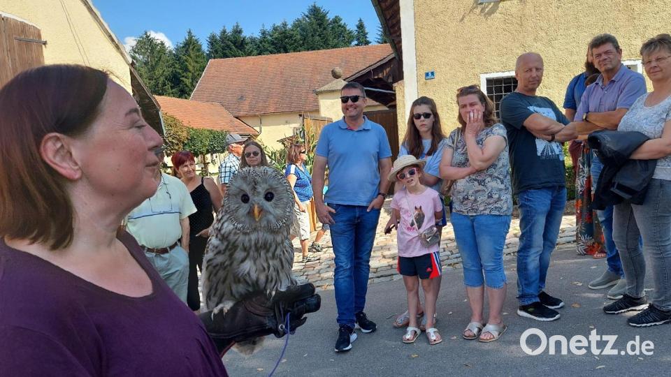Auch tierischer Besuch hatte sich auf dem Schloss angekündigt. Bild: jua