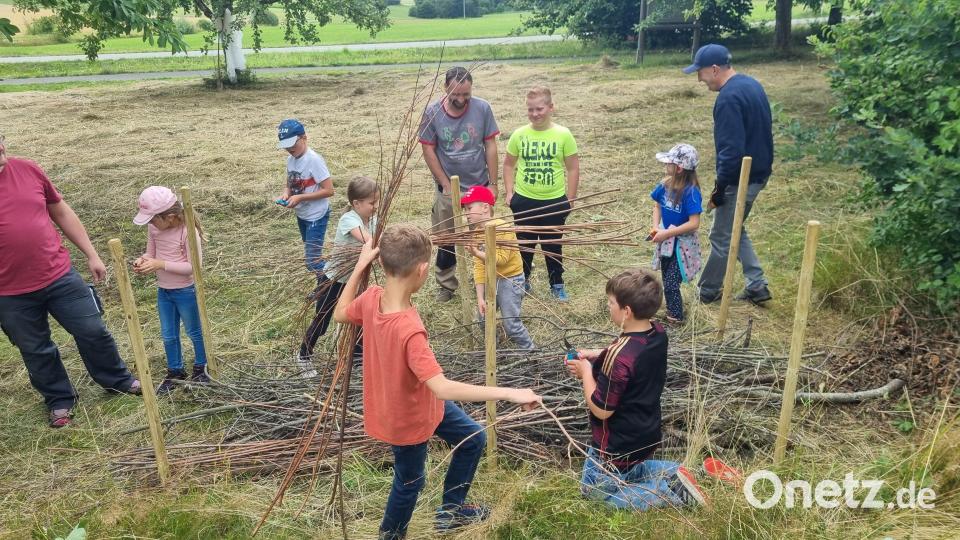 Eine Benjeshecke gestalteten die Kinder beim Obst- und Gartenbauverein in Plößberg. Das Thema des Tages war &quot;Wir bauen zusammen ein ökologisches Mini-Paradies&quot;. Bild: Bettina Krapfl/ exb