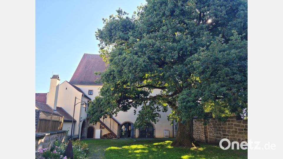 Das Kastenhaus und der Innenhof haben viele Jahrhunderte der Grafenwöhrer Geschichte miterlebt. Bild: sne