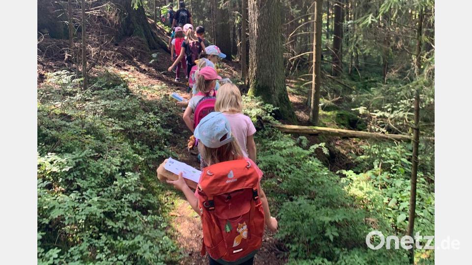 Zu einer Wanderung am Wurzelweg in Wildenau machten sich die Kinder mit dem Sportverein Wildenau auf. Bild: Bettina Krapfl/ exb
