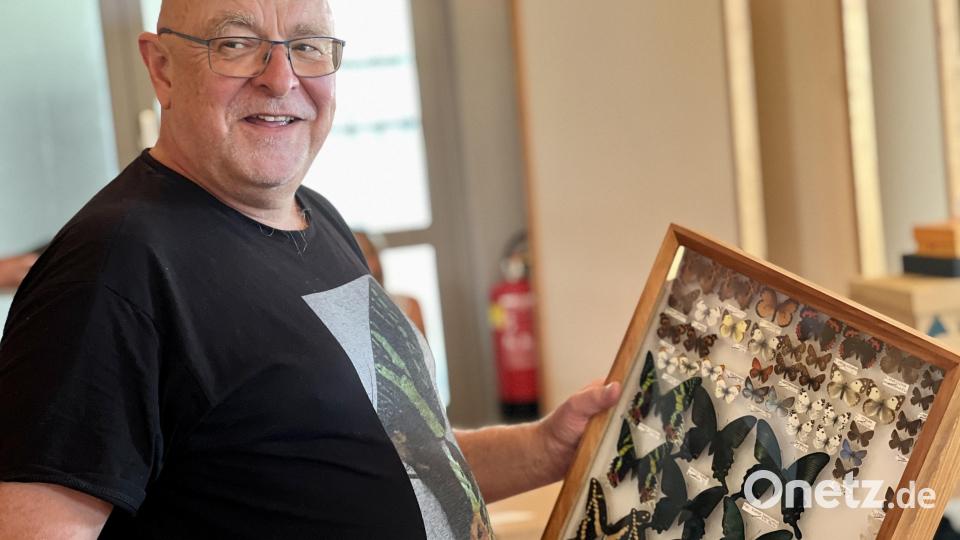 Manfred Ströhle in seinem Element: Der Organisator der Veranstaltung ist seit Kindertagen begeisterter Insektenforscher. Bild: Eichl