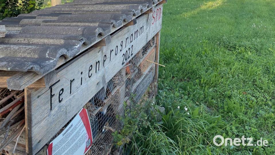 Auf dem &quot;Naturlehrpfad&quot; am Erzweg in Auerbach wird auch für Wildbienen etwas getan. Bild: pad