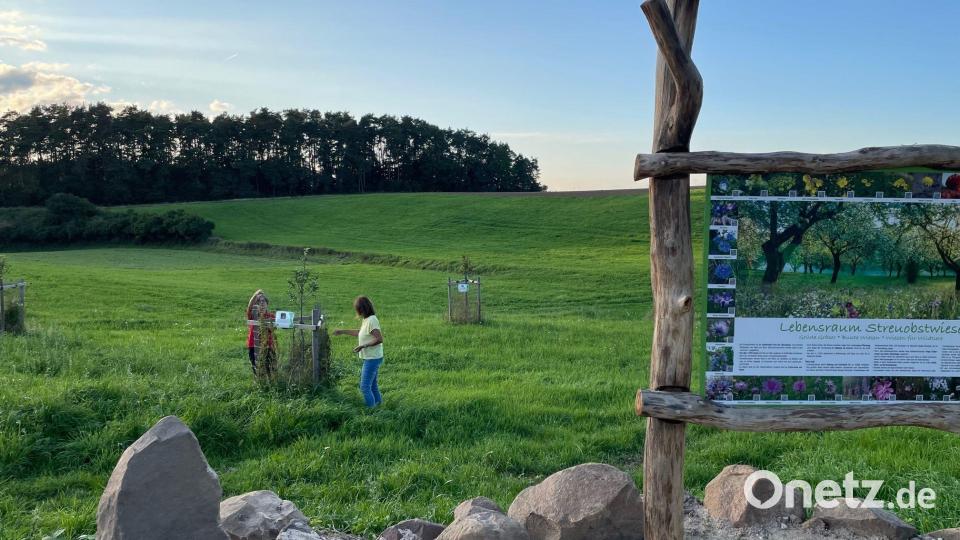 Der &quot;Naturlehrpfad&quot; am Erzweg in Auerbach ist für die Bevölkerung freigegeben. Bild: pad