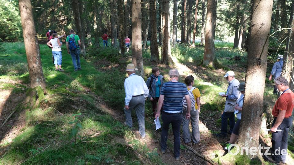 Mitten im Wald erkennt das kundige Auge noch die Reste des Ortes. Hier stand etwa einst eine Mühle. Bild: exb